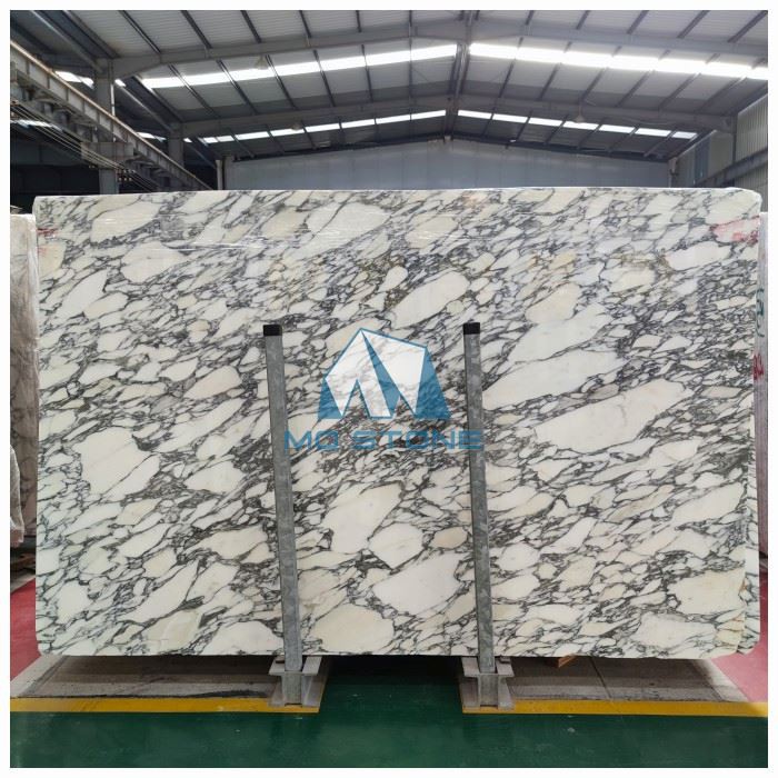 Arabescato Corchia Marble