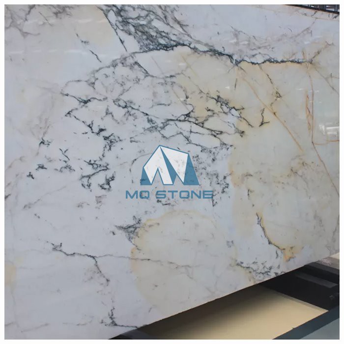 calacatta paonazzo slab