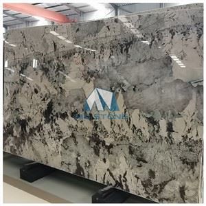 Alpinus White Granite Slab