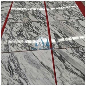 Arabescato White Marble Tiles
