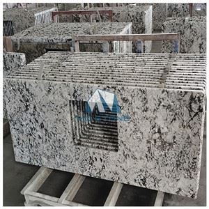 Blue Flower Countertop