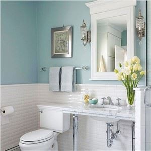 Carrara White Marble