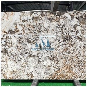 Delicatus Gold Granite