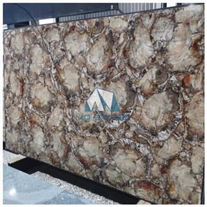 Petrified Wood Gemstone Slabs
