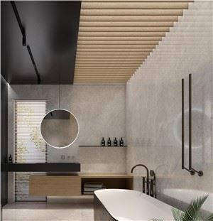 Platinum Leica Sintered Stone