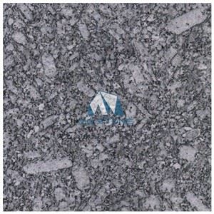 Sea Flower Granite