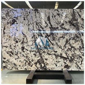 Splendor White Granite Slabs