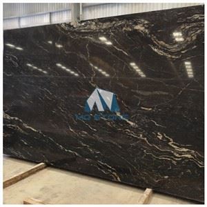 Titanium Black Granite Slab