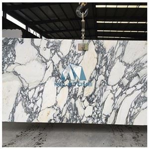 White Arabescato Marble